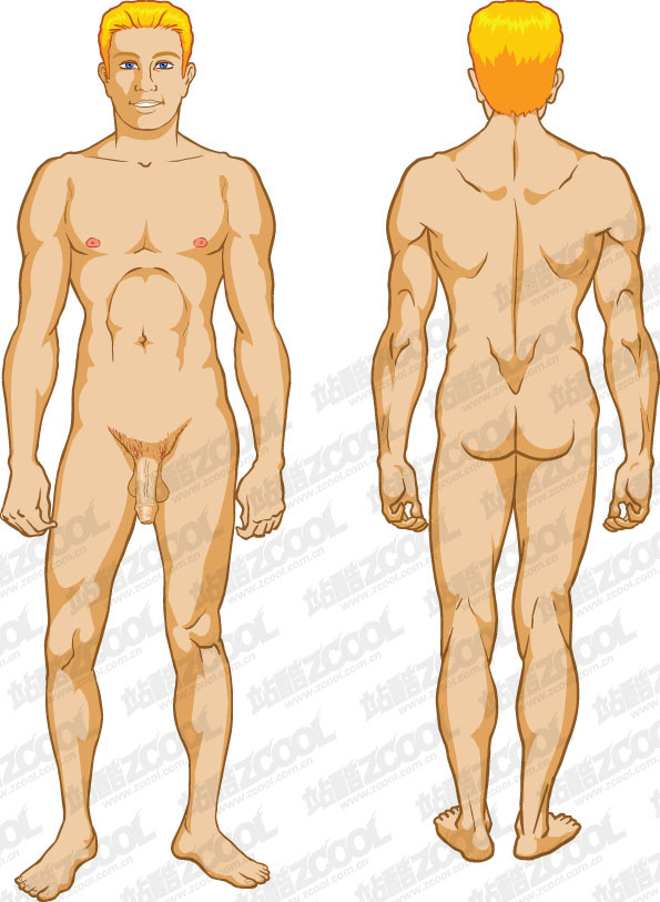 free vector Male human vector material