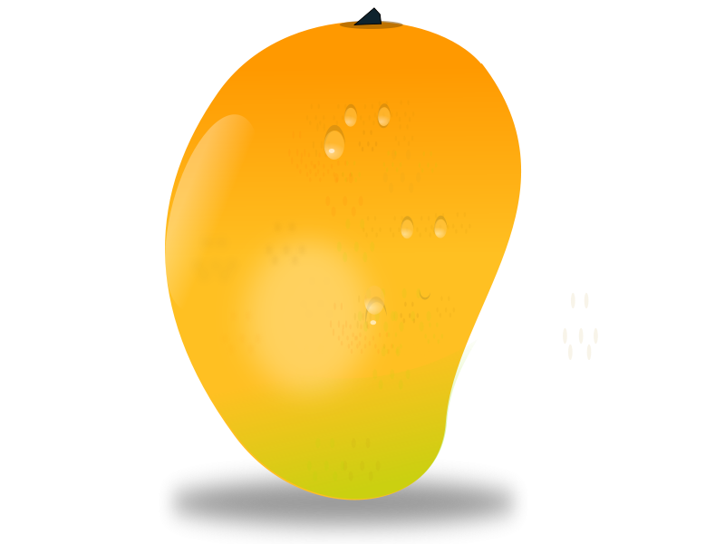 free vector Mango fruit
