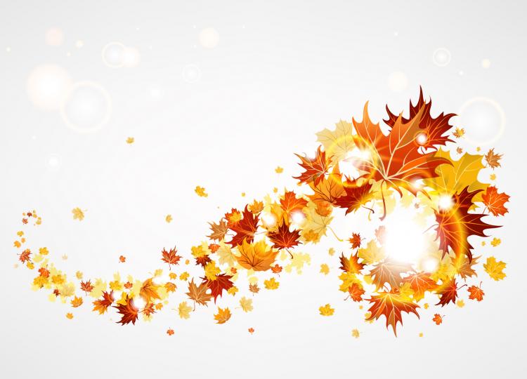 free vector Maple leaf background 01 vector