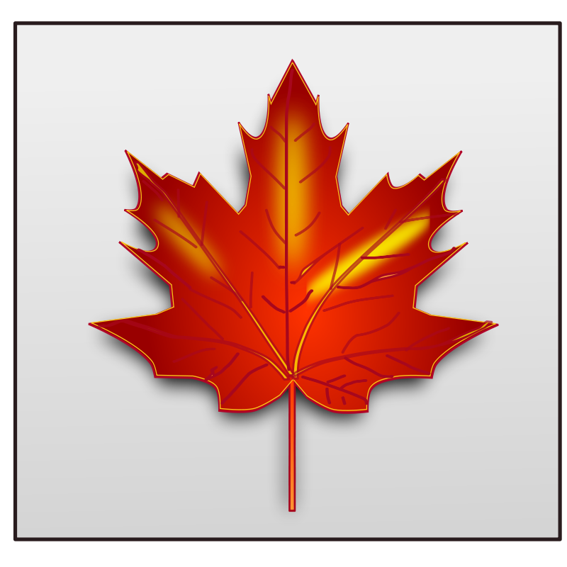 Maple Leaf Vector Image