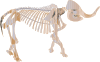 free vector Mastodon Fossil clip art