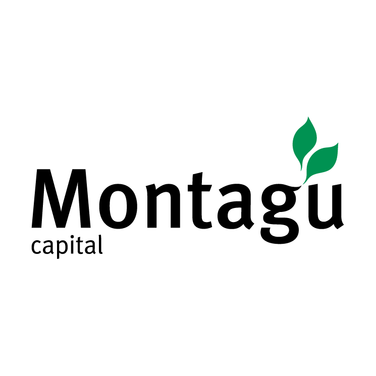 free vector Montagu capital