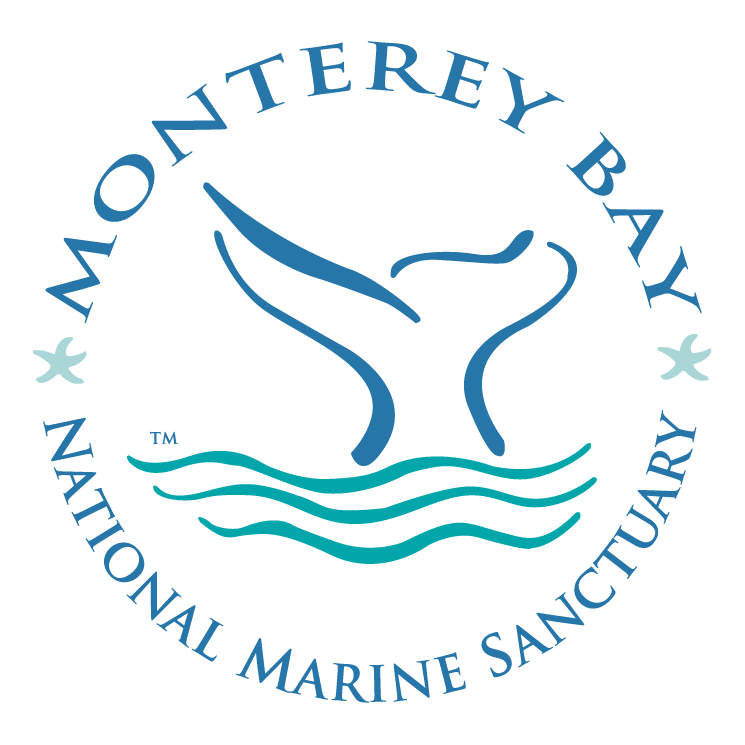 free vector Monterey bay 3