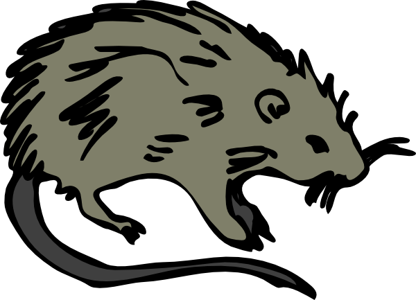 free vector Mouse Rat Rodent clip art