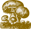 free vector Mushrooms clip art