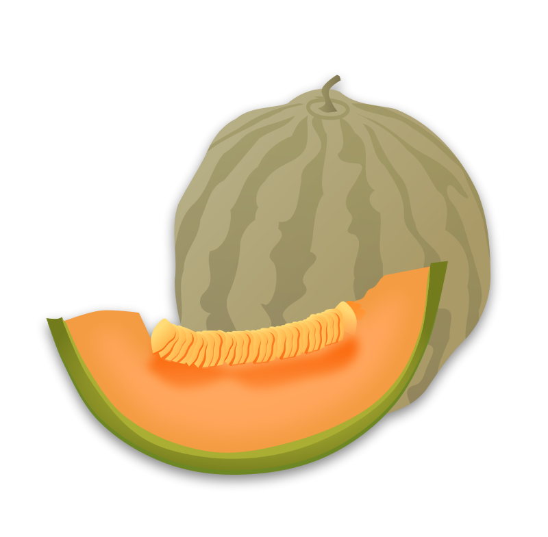 free vector Musk Melon