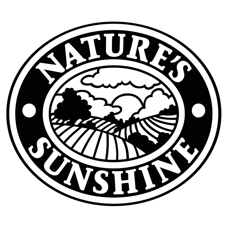 free vector Natures sunshine