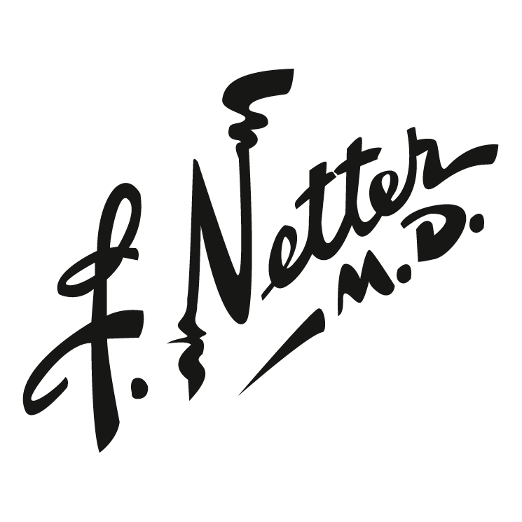 free vector Netter md