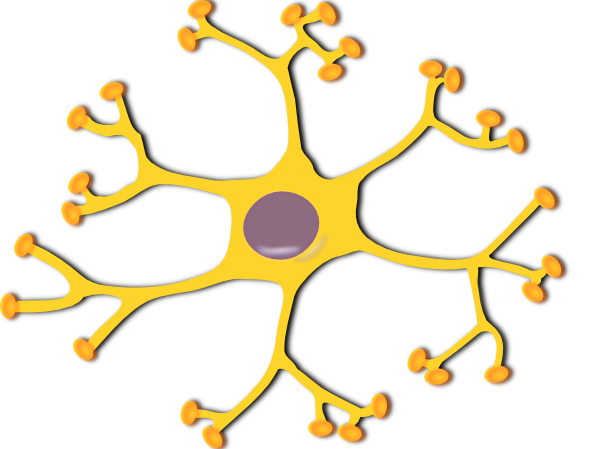 free vector Neuron Interneuron clip art
