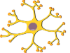 free vector Neuron Interneuron clip art