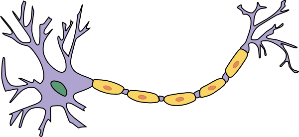 free vector Neuron With Axon clip art
