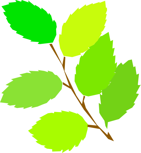 free vector New Leaves Spring clip art
