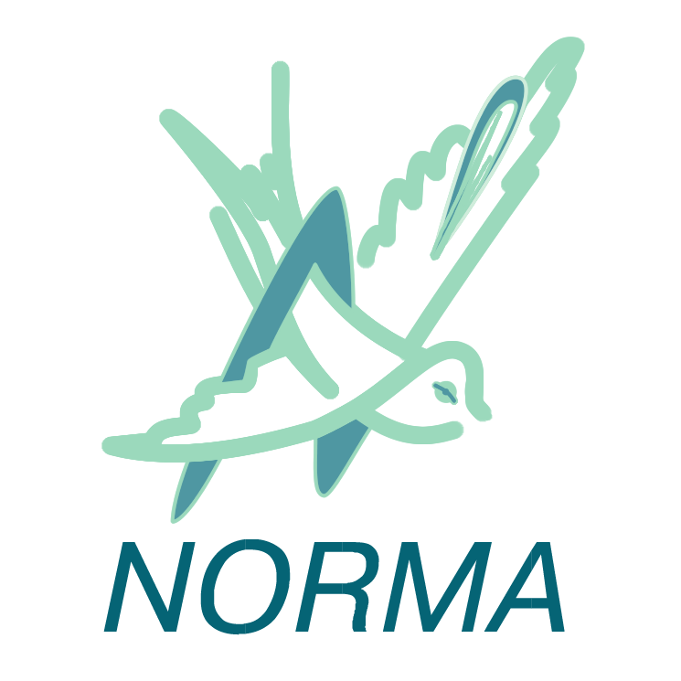 free vector Norma 2