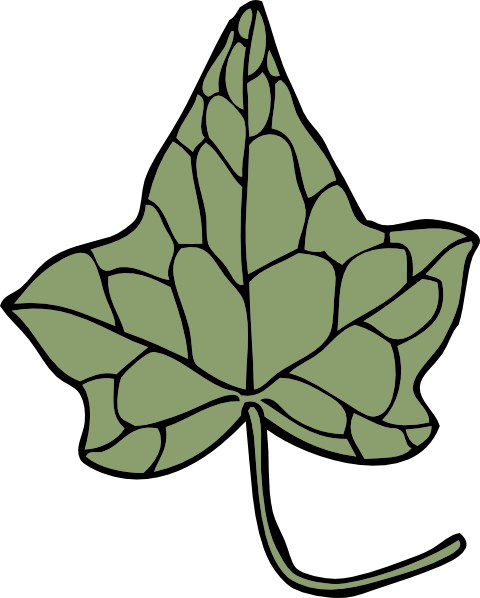 free vector Oak Ivy Leaf clip art