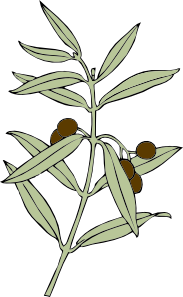 free vector Olive Branch clip art
