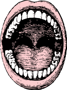 free vector Open Mouth clip art