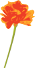 free vector Orange Flower clip art