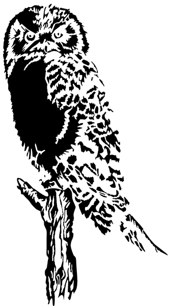 free vector Owl On Branch clip art