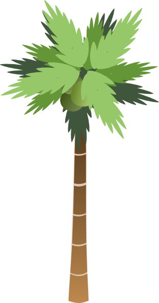 palm tree clip art transparent background