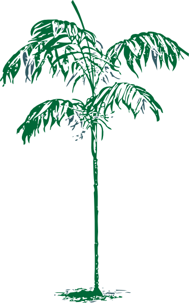 free vector clip art palm tree - photo #24