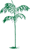 free vector Palm Tree clip art