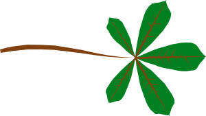 free vector Palmate Leaf Lobed clip art
