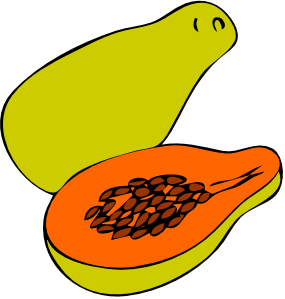 free vector Papaya clip art