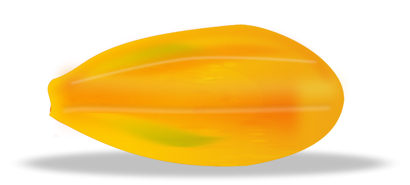 free vector Papaya