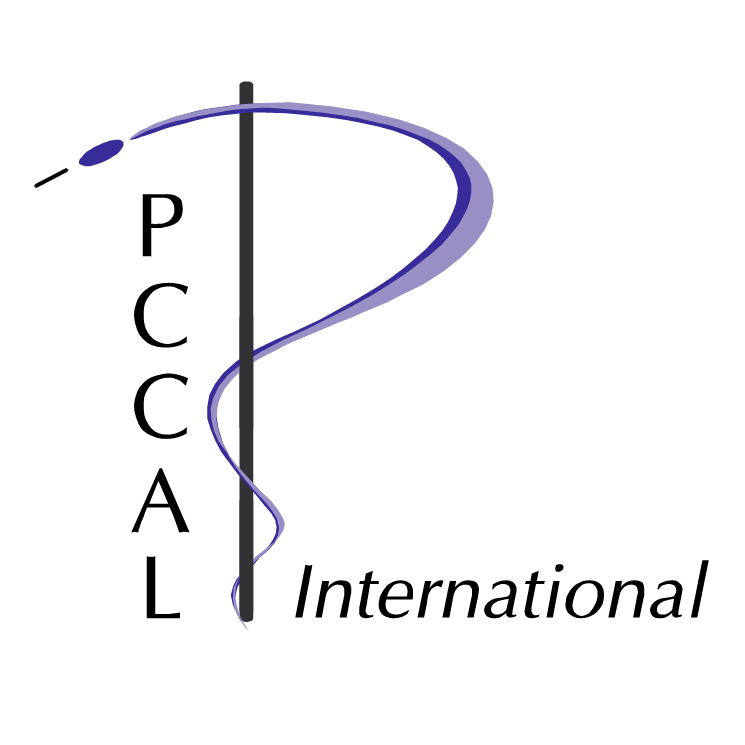 free vector Pccal