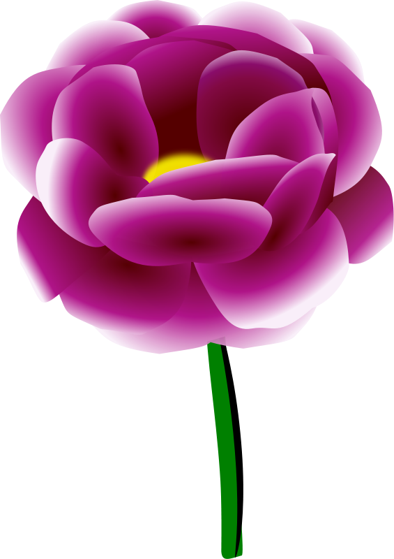 Peony (98506) Free SVG Download / 4 Vector