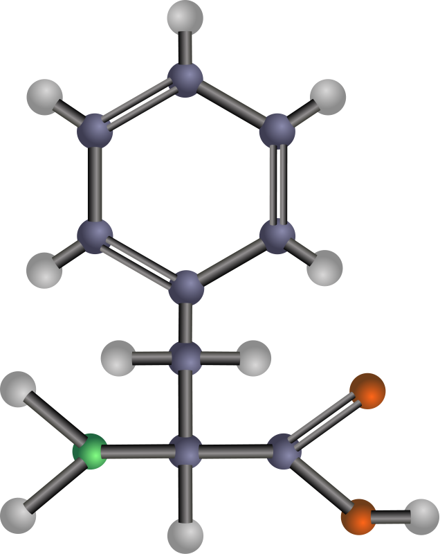 free vector Phenylalanine (amino acid)