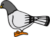 free vector Pigeon clip art