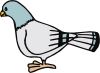 free vector Pigeon clip art