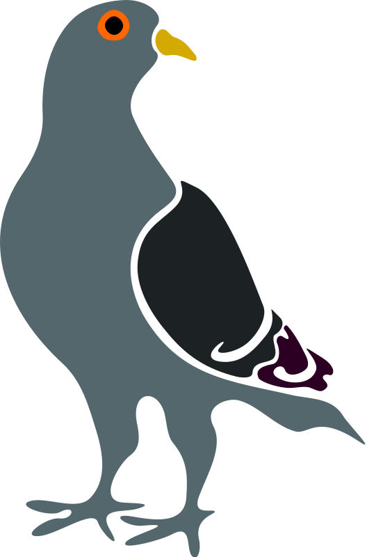free vector Pigeon