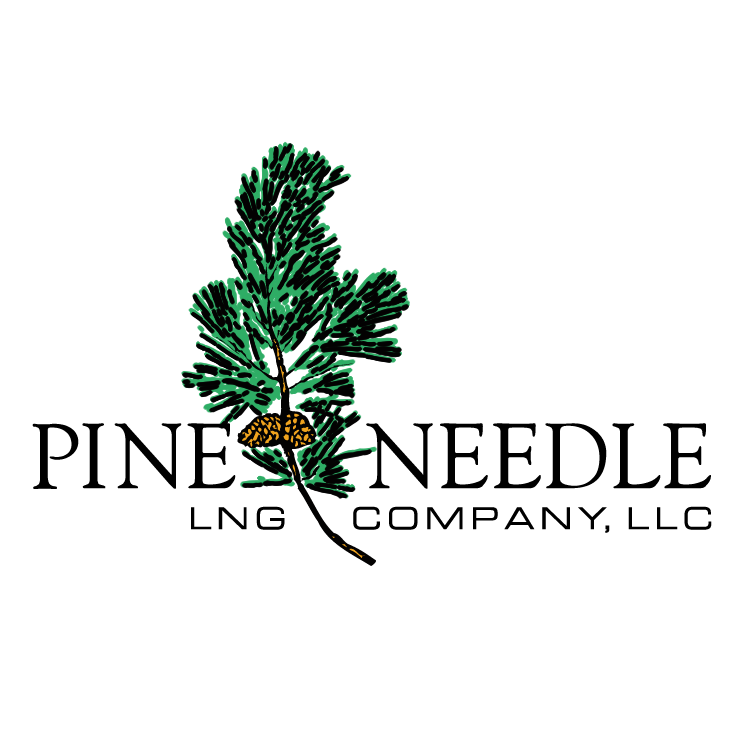 free vector Pine needle