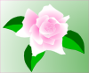 free vector Pink-rose clip art