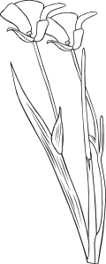 free vector Plant Flower Outline clip art