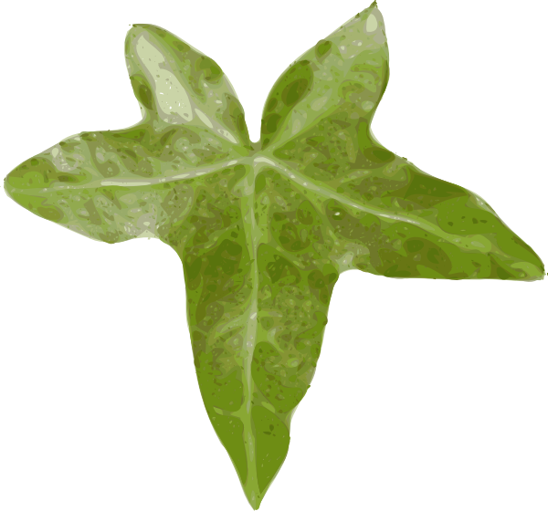 Download Plant Leaf clip art (115583) Free SVG Download / 4 Vector