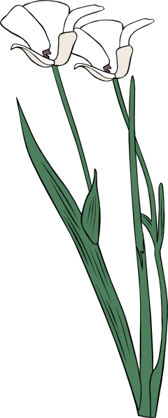 free vector Plant Shrub Flowers Outline clip art
