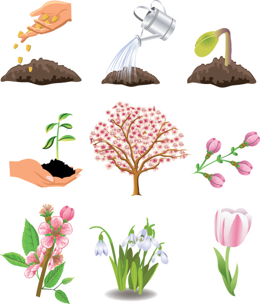 Plant trees (93433) Free EPS Download / 4 Vector