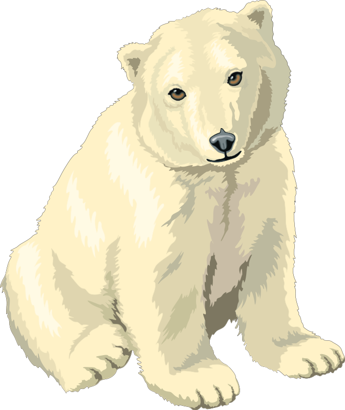 free vector Polar Bear