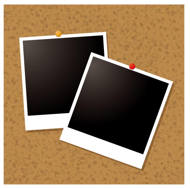 free vector Polaroid photographs of vector-style material