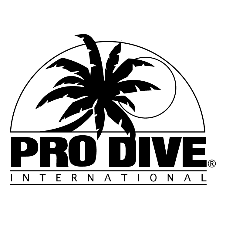 free vector Pro dive