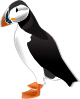 free vector Puffin Md clip art
