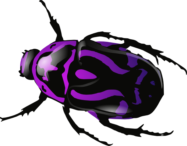 free vector Purple Beetle clip art