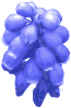 free vector Purple Flowers  clip art