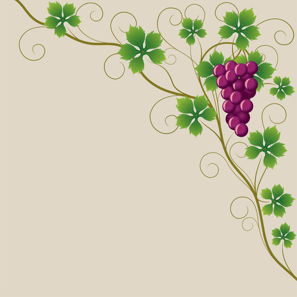 free vector Purple grapes and grape leaves vector