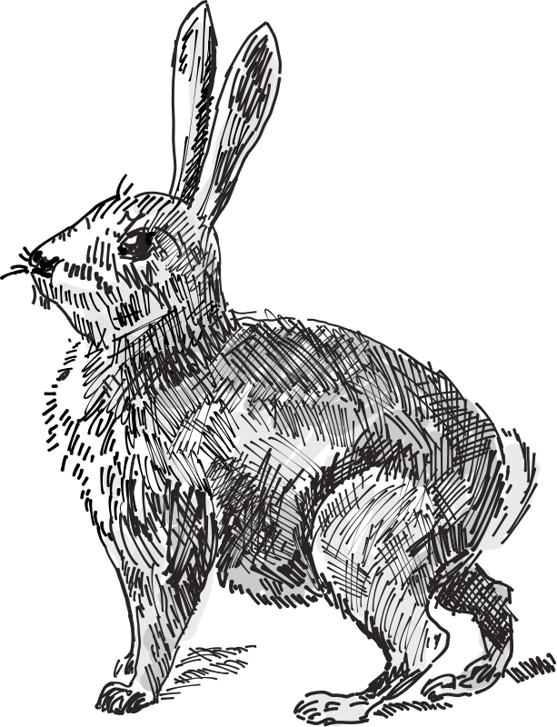 Download Rabbit (99156) Free SVG Download / 4 Vector