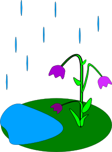 free vector Rain Flowers clip art
