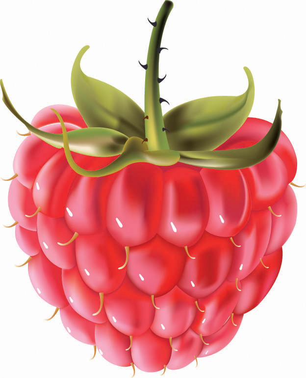 Raspberry (4394) Free EPS Download / 4 Vector